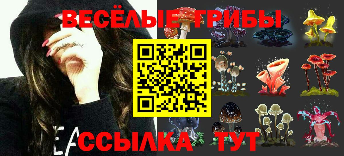 Псилоцибиновые грибы мухоморы Батайск